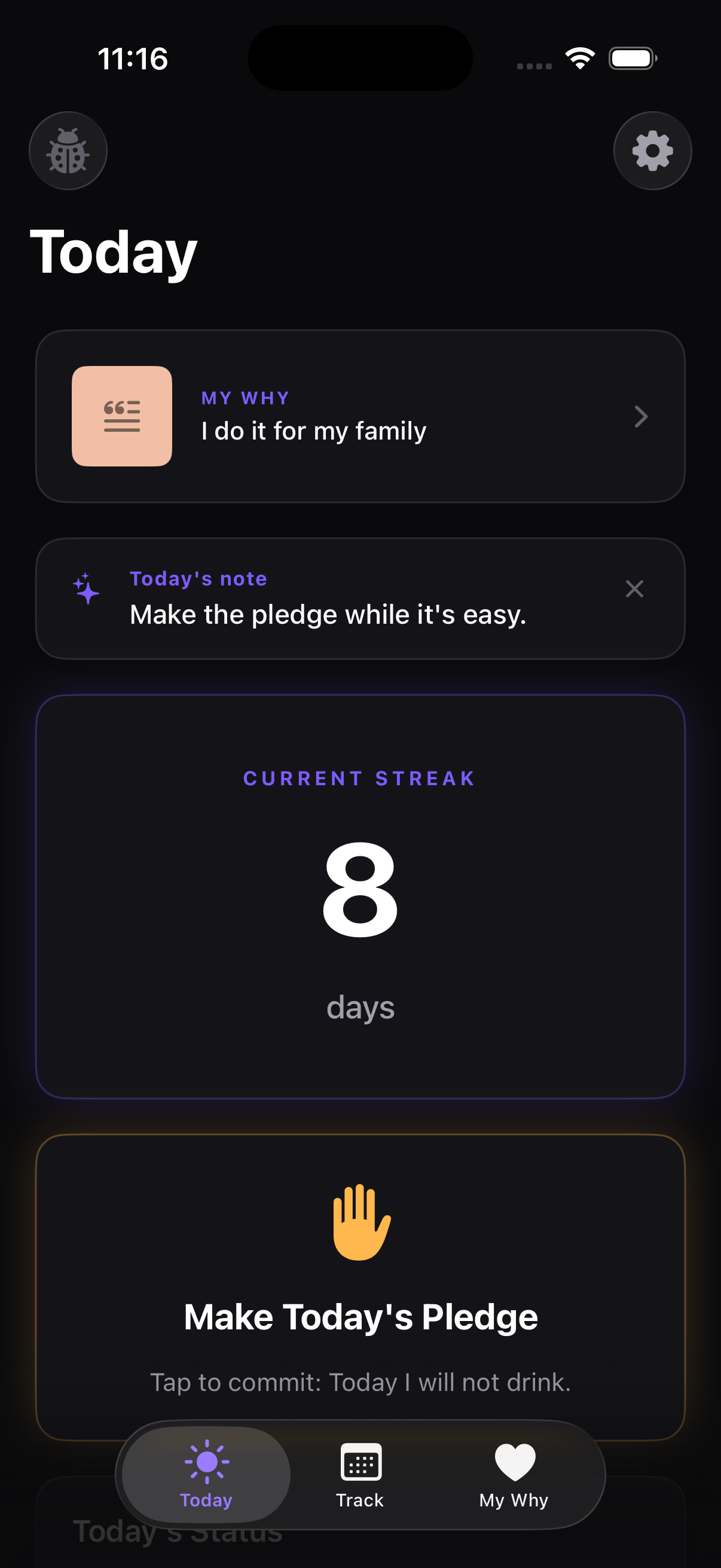 SoberKit Track screen with streaks and progress